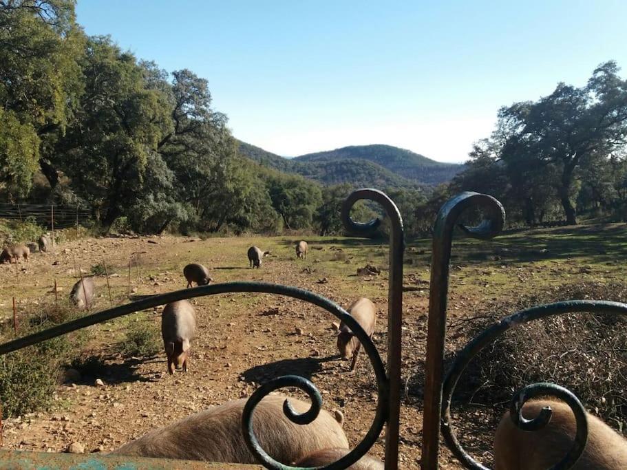 Casa Rural Alicia Cortegana Eksteriør billede